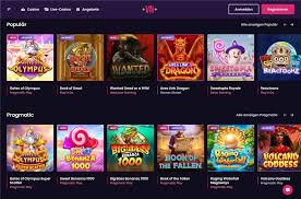 Vegas Now Gambling Establishment Application & Mobile Pc Gaming Experience